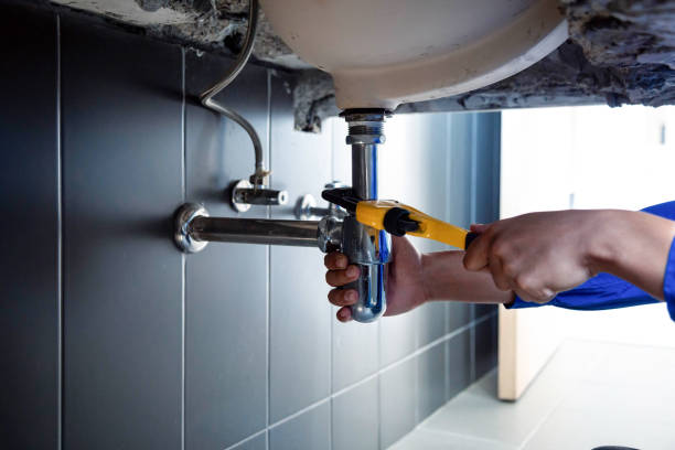 Best Plumbing System Maintenance  in Douglas, AZ